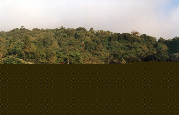 84-Cloud_Forest_Lodge